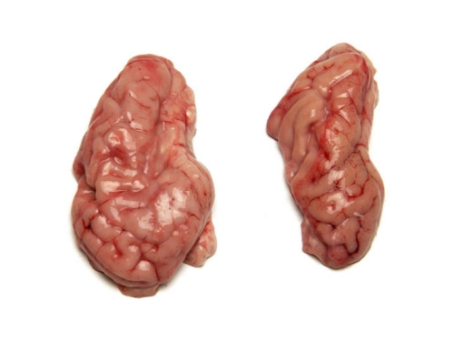 Pork Brain猪脑
